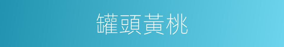 罐頭黃桃的同義詞