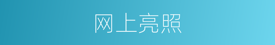 网上亮照的同义词
