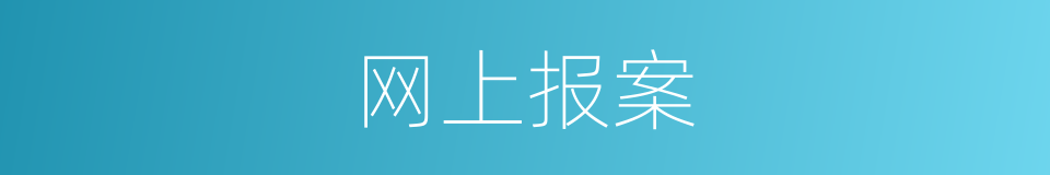 网上报案的同义词