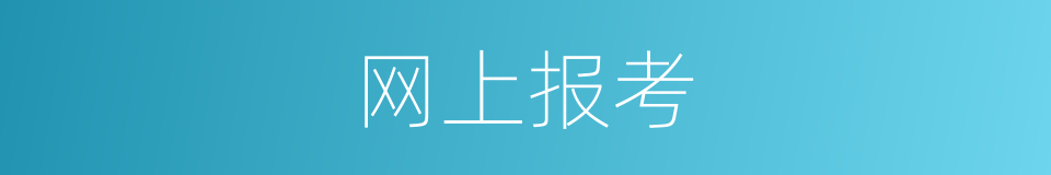 网上报考的同义词
