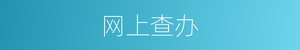 网上查办的同义词