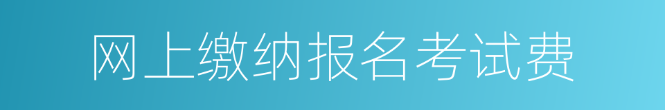 网上缴纳报名考试费的同义词