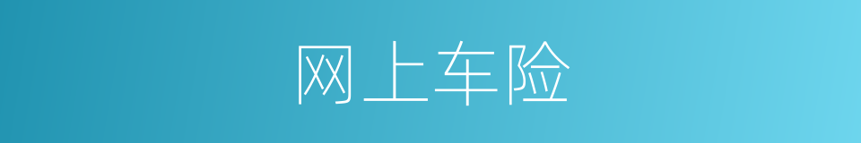 网上车险的同义词