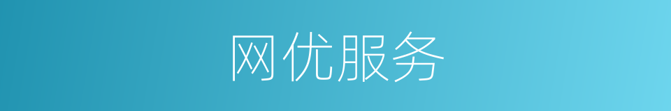 网优服务的同义词