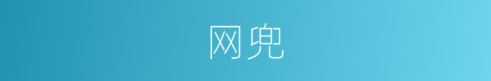 网兜的意思