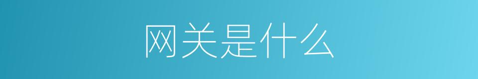 网关是什么的意思