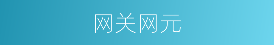 网关网元的同义词