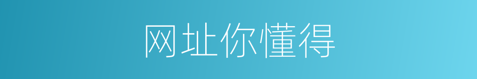 网址你懂得的同义词