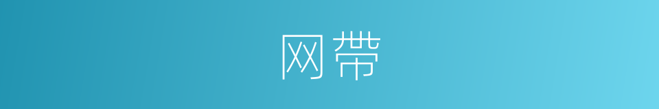 网帶的同義詞