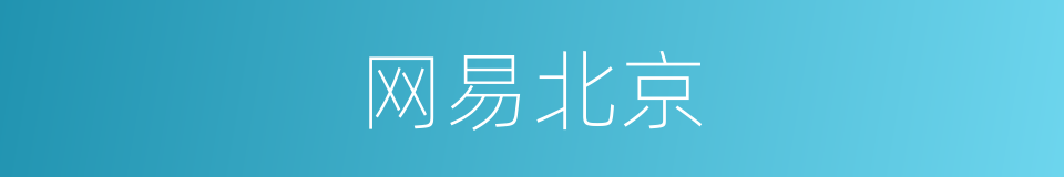 网易北京的同义词