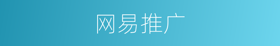 网易推广的同义词