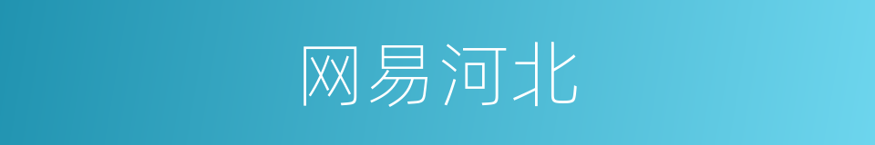网易河北的同义词