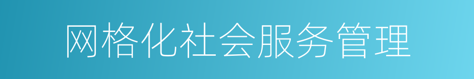 网格化社会服务管理的同义词