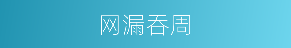 网漏吞周的意思