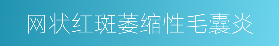 网状红斑萎缩性毛囊炎的同义词