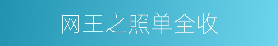网王之照单全收的同义词