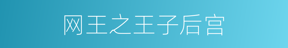 网王之王子后宫的同义词