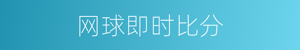 网球即时比分的同义词