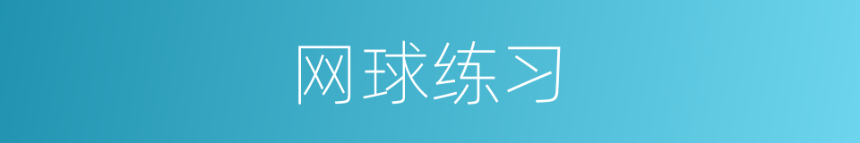 网球练习的同义词