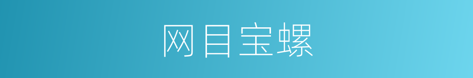 网目宝螺的同义词