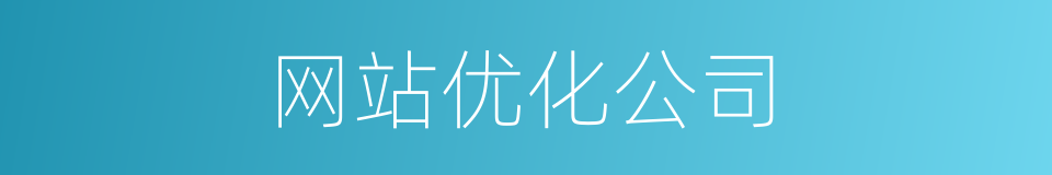 网站优化公司的同义词