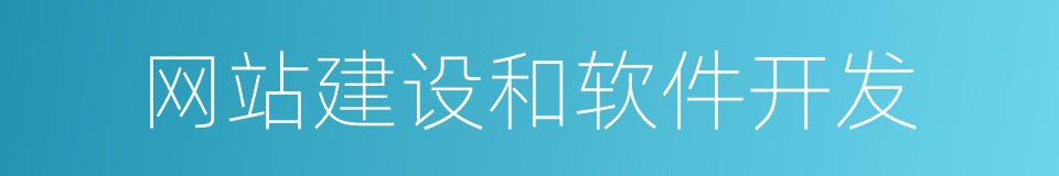 网站建设和软件开发的同义词