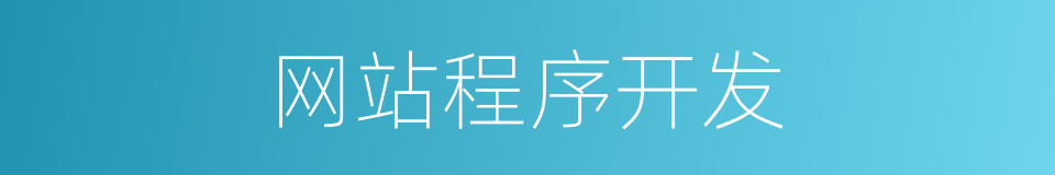 网站程序开发的同义词