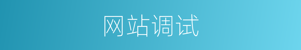 网站调试的同义词