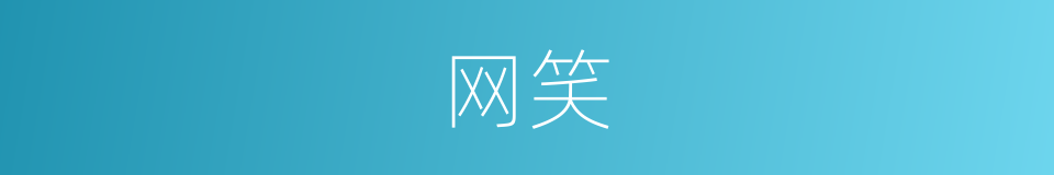 网笑的同义词