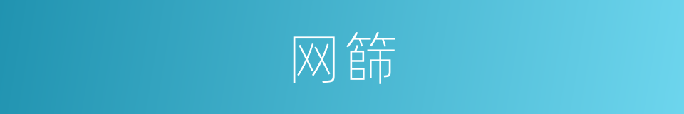 网篩的同義詞