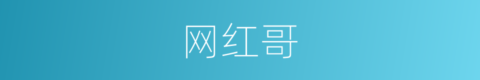 网红哥的同义词