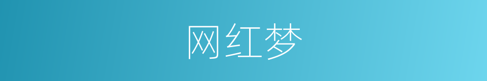 网红梦的同义词