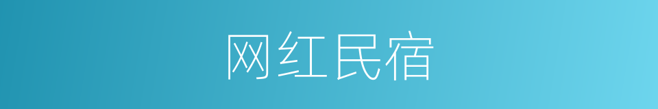 网红民宿的同义词