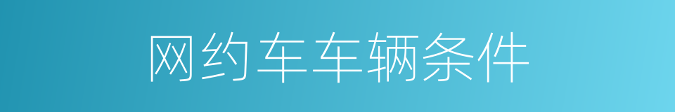 网约车车辆条件的同义词