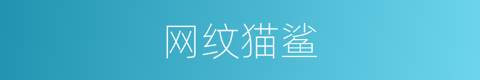 网纹猫鲨的同义词