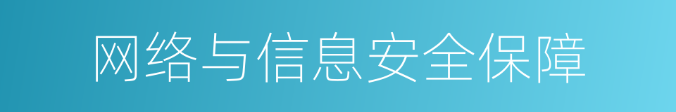 网络与信息安全保障的同义词