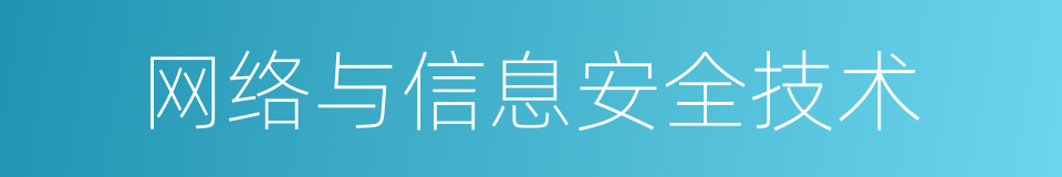 网络与信息安全技术的同义词