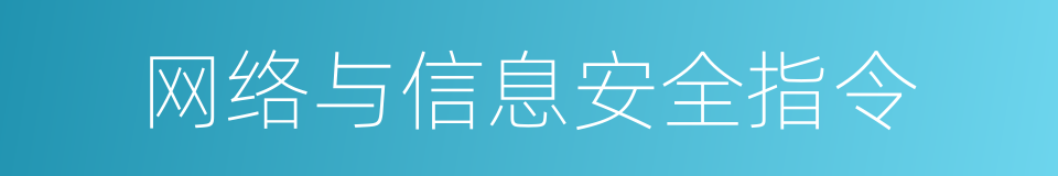 网络与信息安全指令的同义词