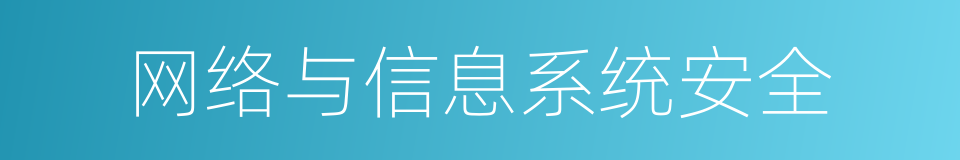 网络与信息系统安全的同义词