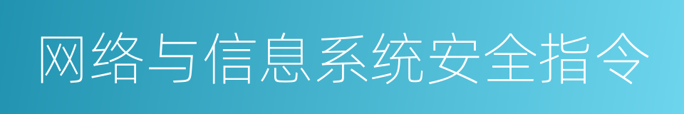 网络与信息系统安全指令的同义词