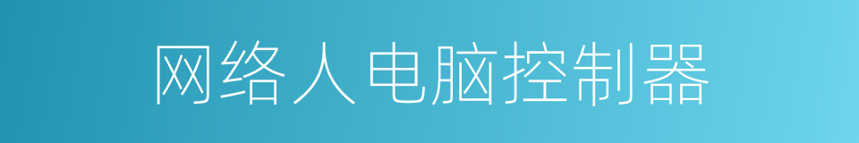 网络人电脑控制器的同义词
