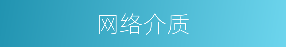 网络介质的意思