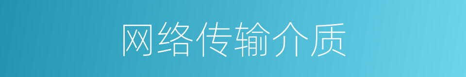 网络传输介质的同义词