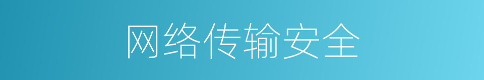 网络传输安全的同义词