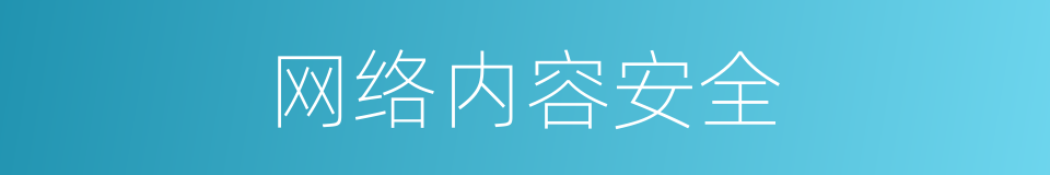网络内容安全的同义词