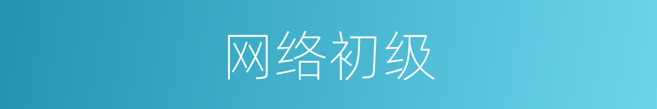 网络初级的同义词