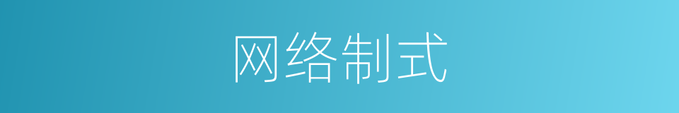 网络制式的意思