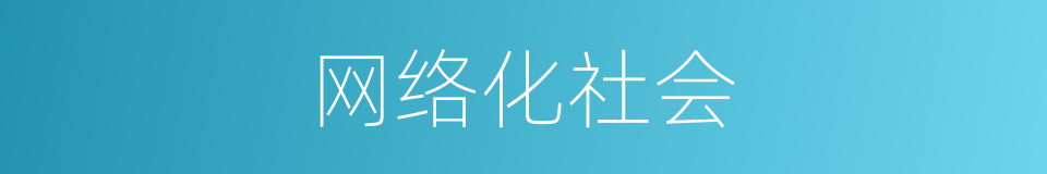 网络化社会的同义词