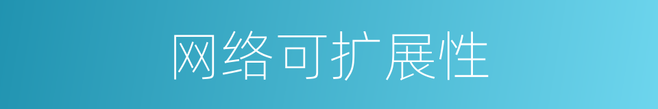 网络可扩展性的同义词