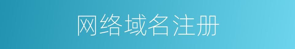 网络域名注册的同义词